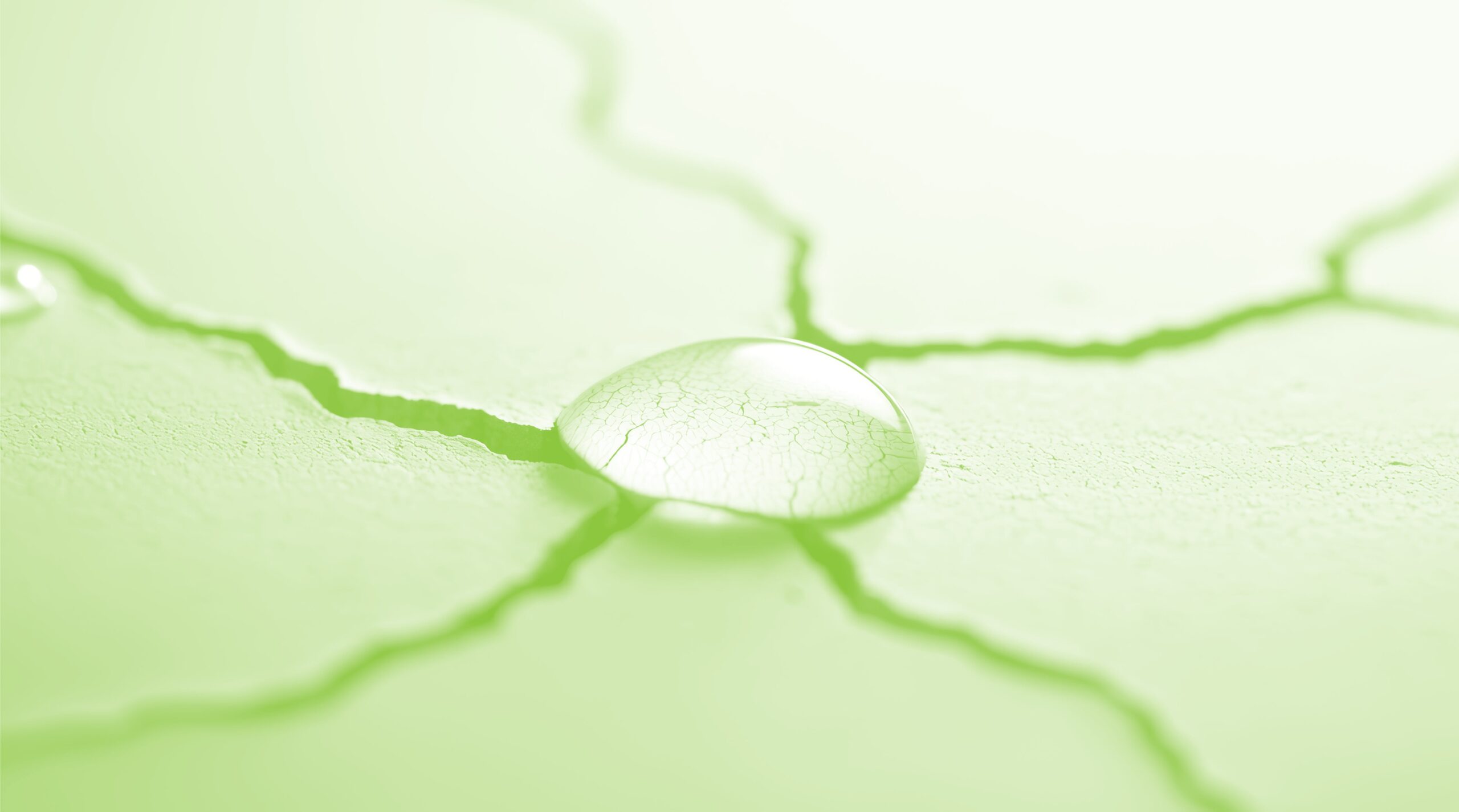 Protect Your Home With Foundation Waterproofing in Springfield Missouri